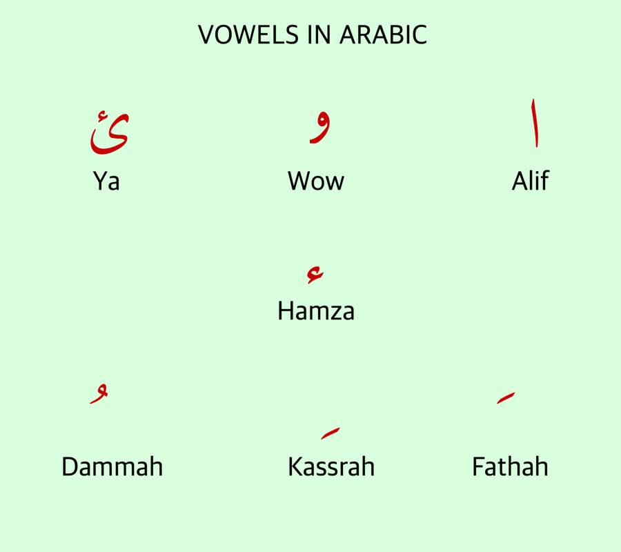 How Many Vowels In Arabic Language