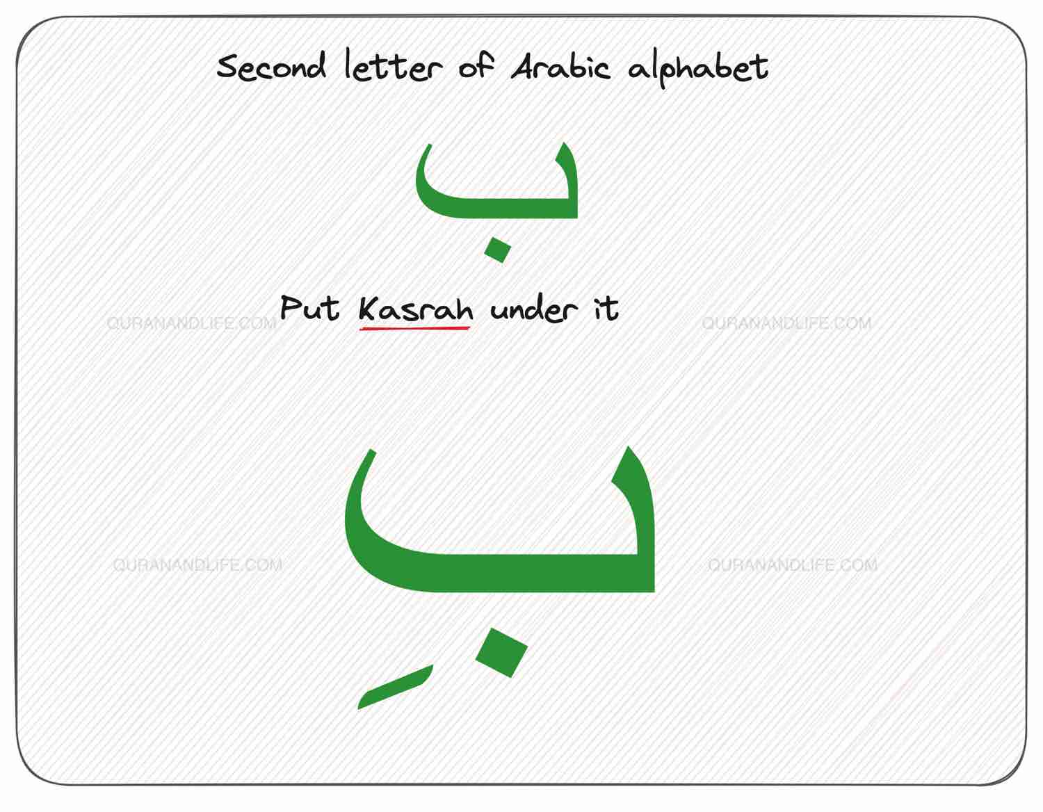 Harakat in Arabic Made Simple - Read Quran With Confidence - Quran and Life